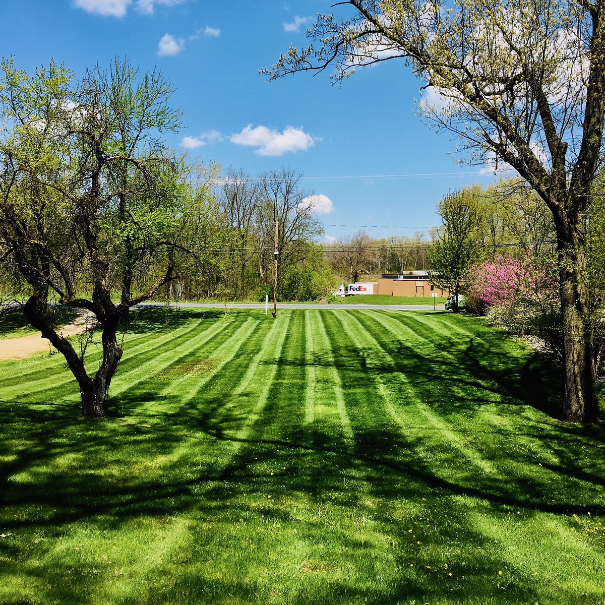 yardmastery tweet media