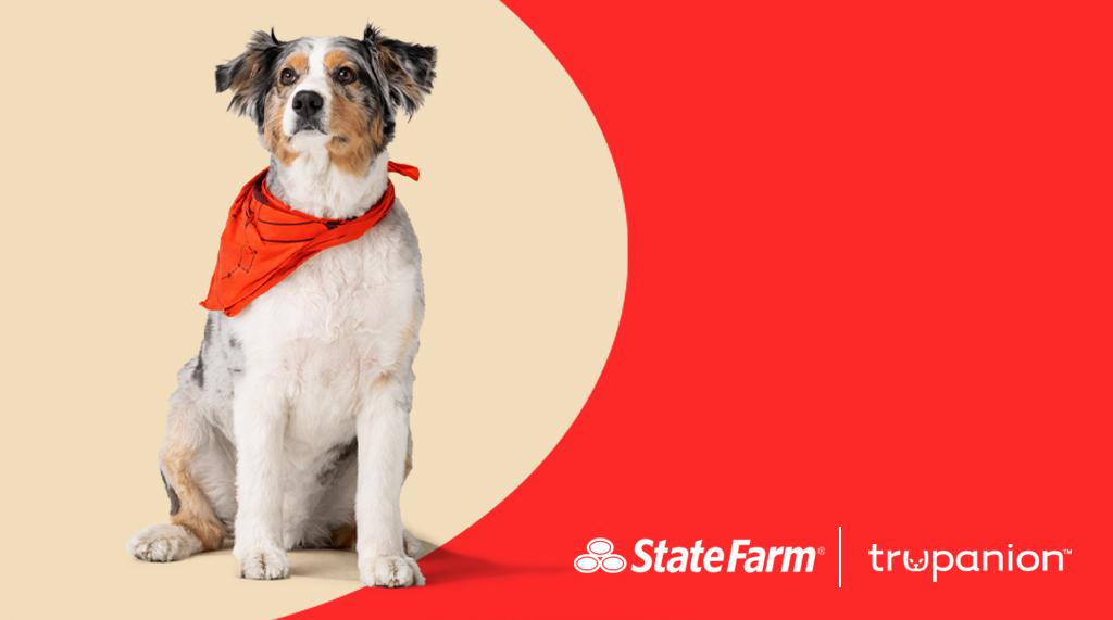 ShorelineSF's tweet photo. The best way to ensure their happiness is to insure their healthiness. Contact me today to learn more about our Pet Medical Insurance options. #GoodNeighbor https://t.co/MZBp9IH5Xw