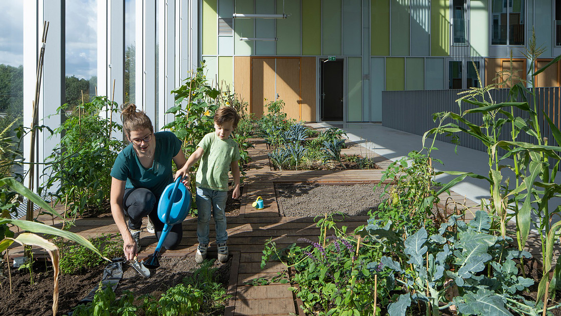 Zuiderkerkprijs voor woningbouwproject New West!

smartland.nl/single-post/zu…