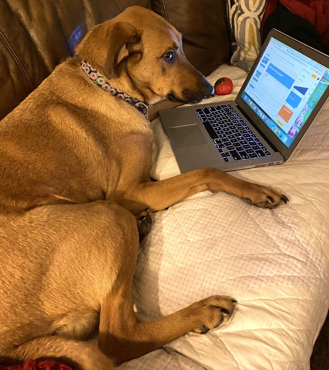 reetaaaaaaaaaaa's tweet photo. When you planned on getting your work done throughout the weekend and then Monday morning comes around: https://t.co/BZAQZ3pseM