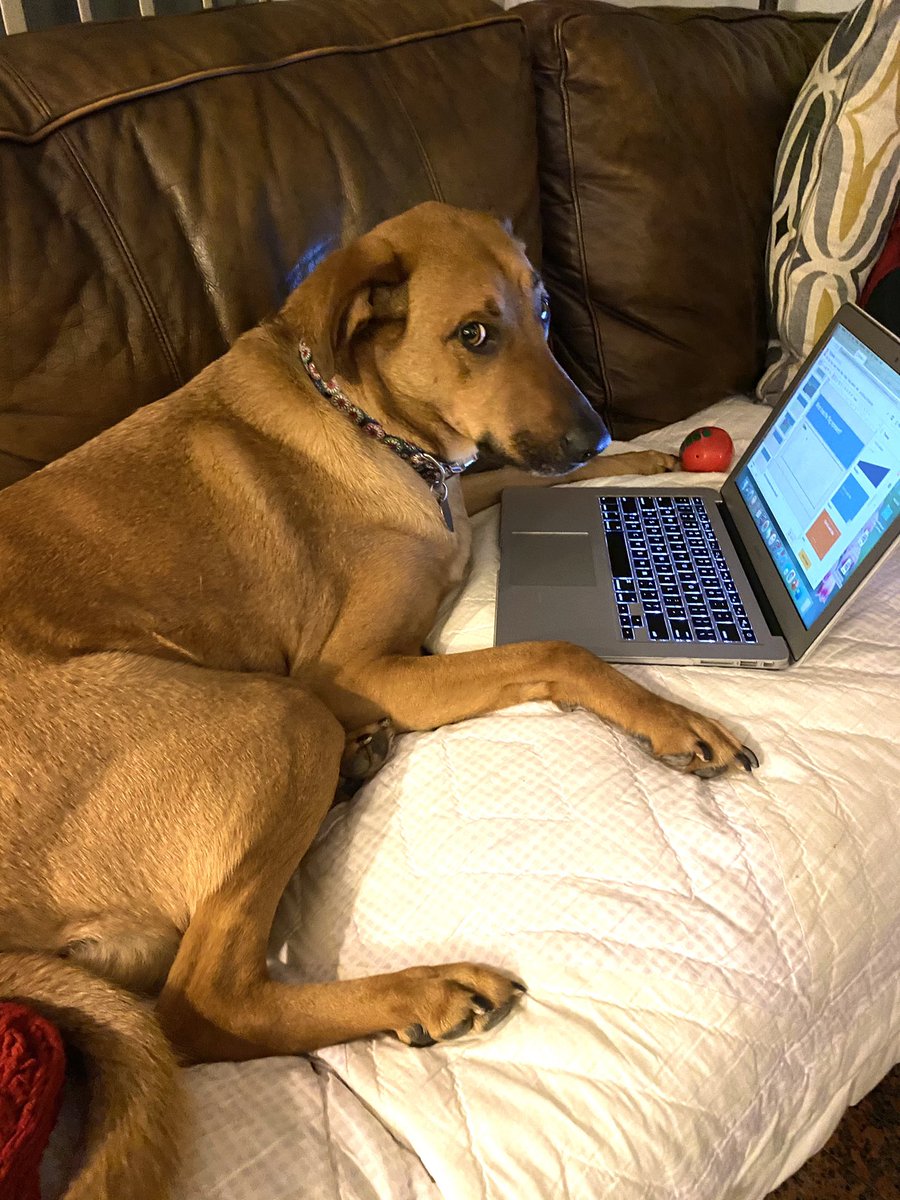 reetaaaaaaaaaaa's tweet photo. When you planned on getting your work done throughout the weekend and then Monday morning comes around: https://t.co/BZAQZ3pseM