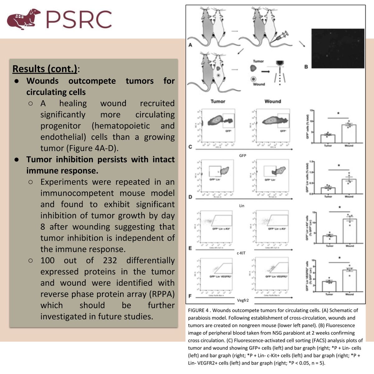 Plastic Surgery Research Council tweet media