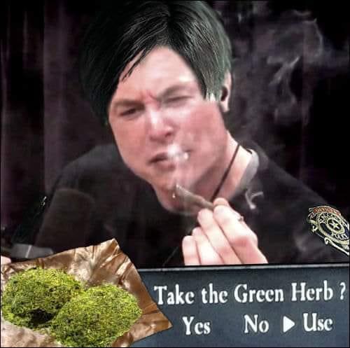 Is this how humans use the green herb? Asking for a zombo friend. 😁