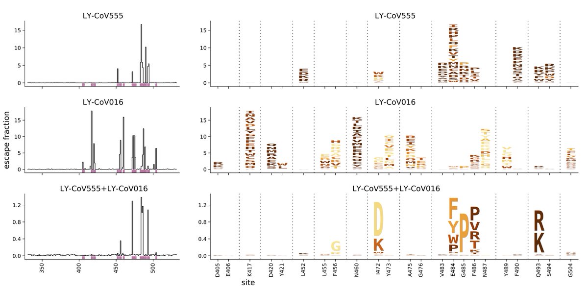 Before summarizing key mutations, I'll add that at end of last week  @tylernstarr just got data for recombinant form of LY-CoV555 (lead Eli Lilly) antibody. Not sure when we will have time to write paper on that, so I'm posting data below in same form as Figure 1A of paper. (4/n)