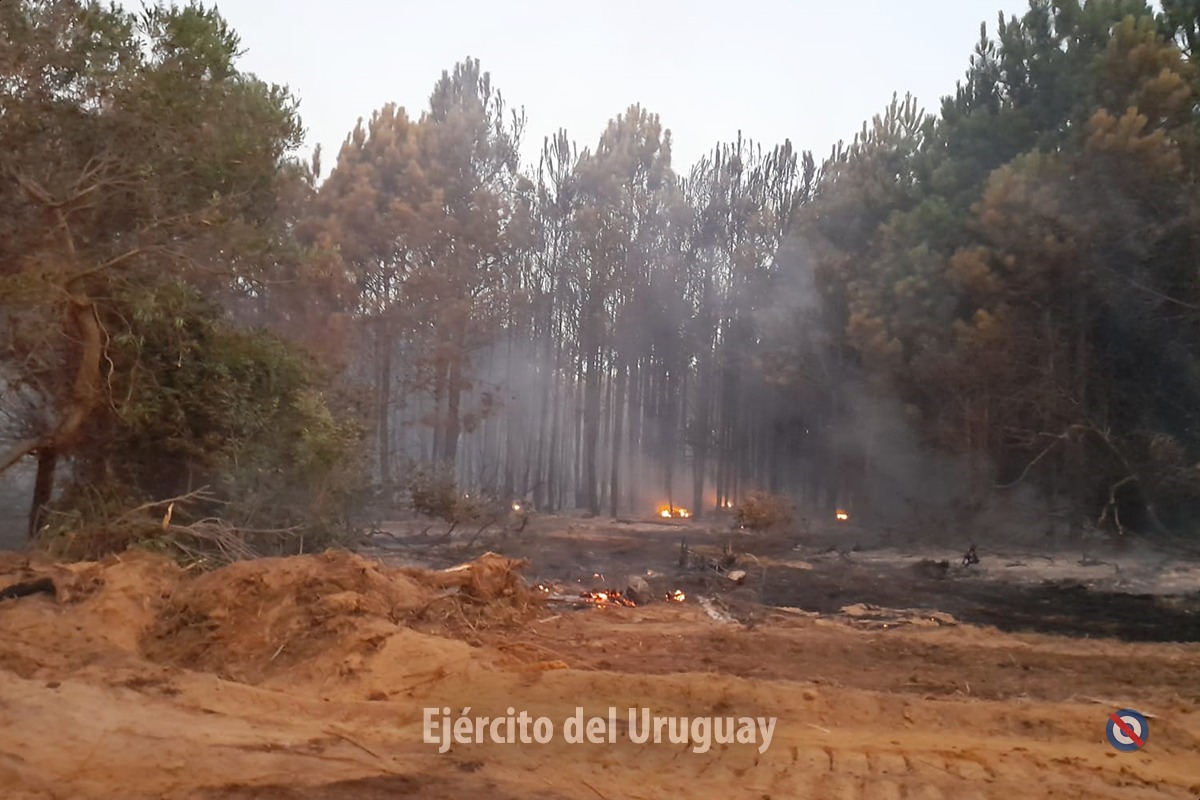 EjercitoUy's tweet photo. El #EjércitodelUruguay pone sus medios y personal al servicio de todos los uruguayos. Efectivos de #LaFuerzadeTodos trabajaron intensamente en apoyo a #Bomberos durante una larga jornada, logrando controlar el #incendio que ayer se propagó en #puntadeldiablo. https://t.co/HnMA8brweE