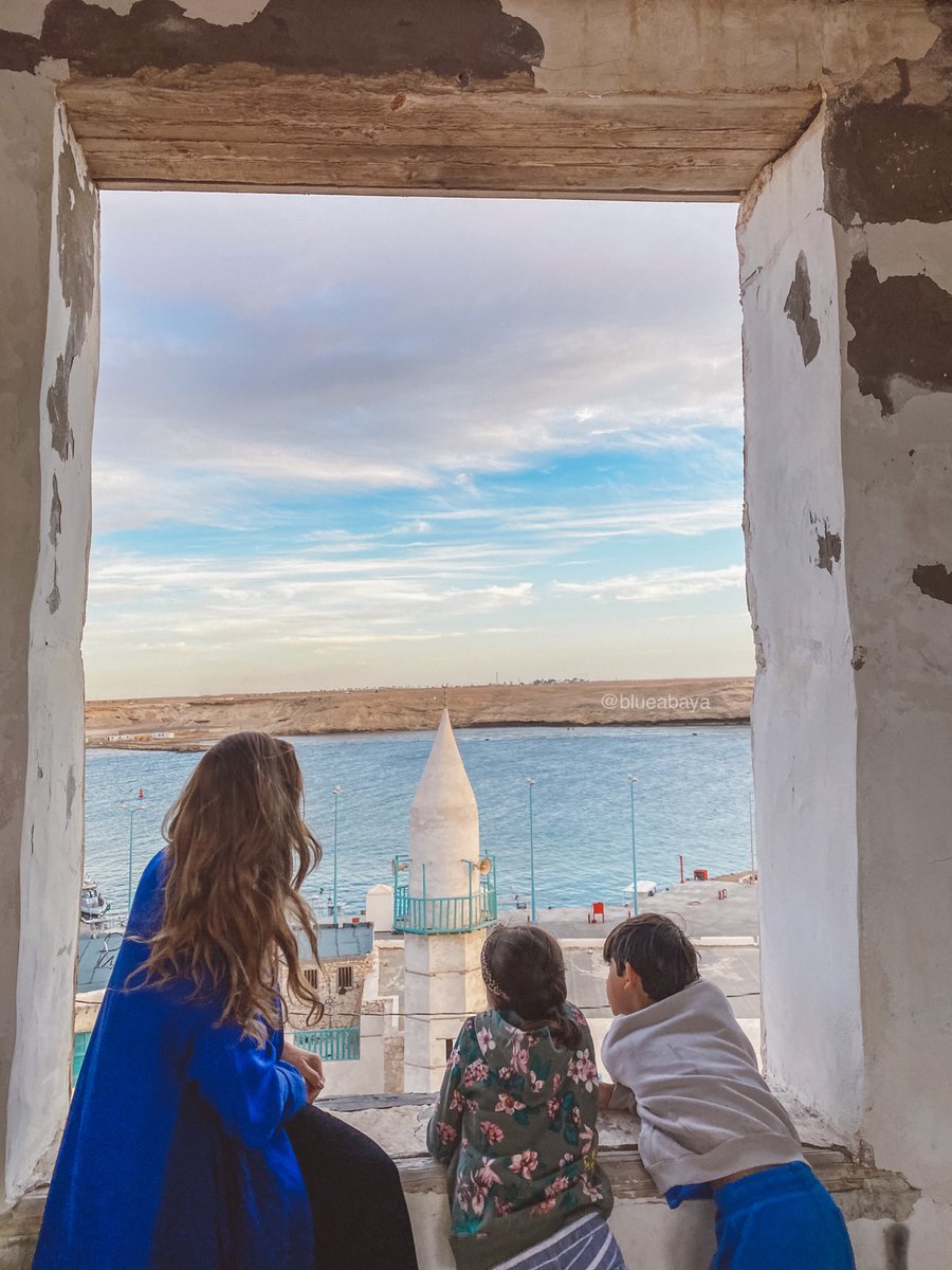 Laura Alho tweet media