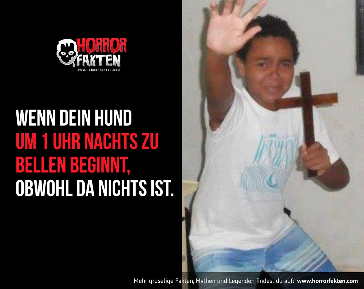Horror Fakten tweet media