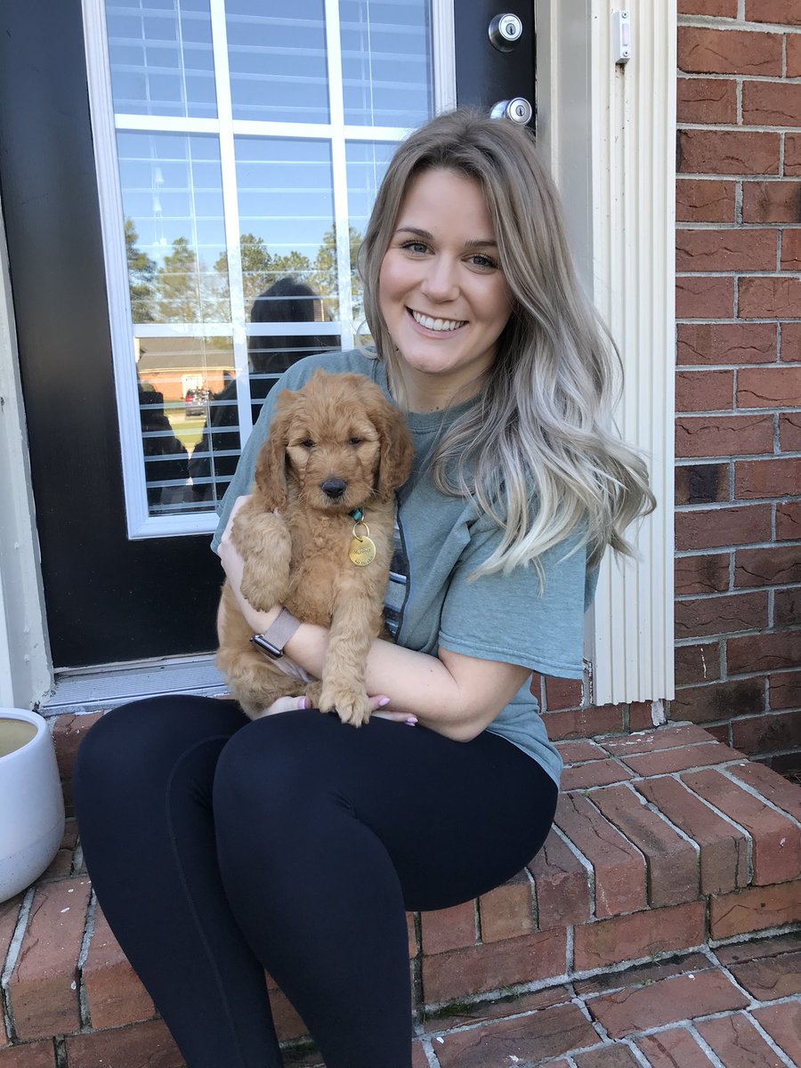 EmbreeGrace's tweet photo. Happy ⭐️Gotcha Day⭐️ Murphy! https://t.co/LpLxcovYDv