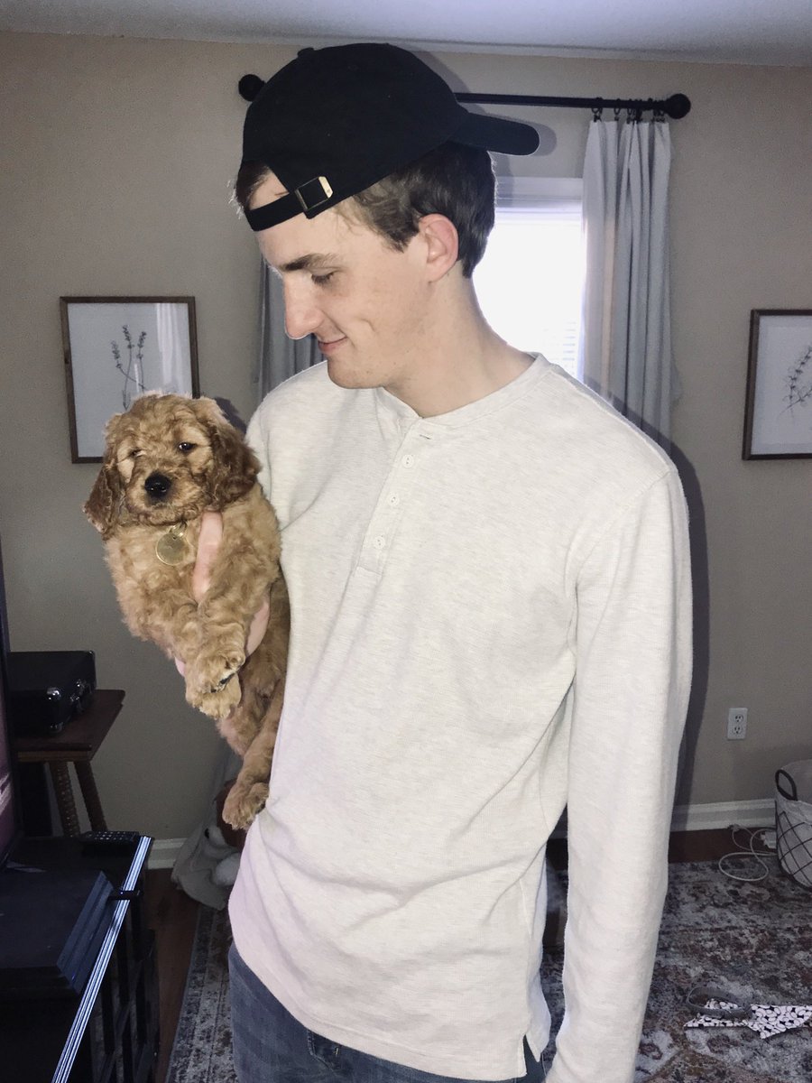 EmbreeGrace's tweet photo. Happy ⭐️Gotcha Day⭐️ Murphy! https://t.co/LpLxcovYDv