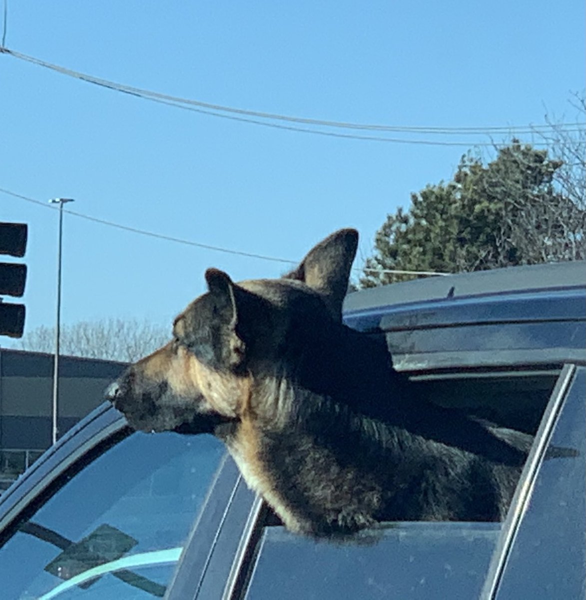 cindyladage's tweet photo. Nothing like the wind in your hair! #travelingadventuresofafarmgirl #headup #sun #fun #windowdown โฆ@enjoyillinoisโฉ https://t.co/29vjYmUQxV
