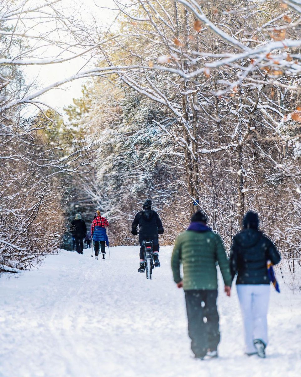 NCC_CCN's tweet photo. This winter, there are over 100km of groomed, multi-use Winter Trails throughout the Capital:
❄️@SJAMWinterTrail -18km
❄️Orleans Ski Club-20km
❄️@OWWinterTrail -8km
❄️@RideauWinter -9km
❄️@BritanniaTrail -8km
❄️@SkiheritageEast -17km
📷khan_hassan/cody_emm/Judy_dudley | #ottawa https://t.co/QYybUJGGJe