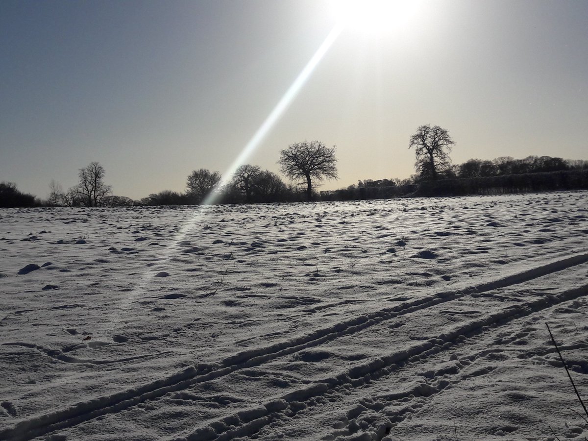 madhatter1874's tweet photo. Hi #HTLWWGroup @HtlwWgroup . Had the day off today to try and put some miles in cycling but deep snow meant a change to a 3 hr walk through the v picturesque woods and fields of #South #Staffordshire . Great exercise and uplifting! https://t.co/0QuchDPKA2