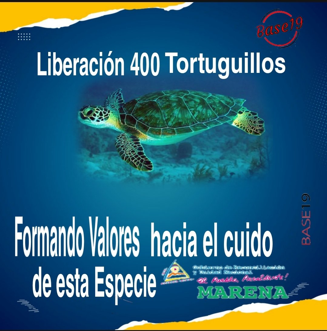 Hoy el MARENA, llevará a cabo el Festival de las Tortugas Marinas, con el lema “Junt@s Conservamos Nuestras Tortugas Marinas”,en la playa de arribada Refugio de Vida Silvestre Río Escalante Chacocente, en el municipio de Carazo. #NicaraguaTriunfa #25Enero #Base19