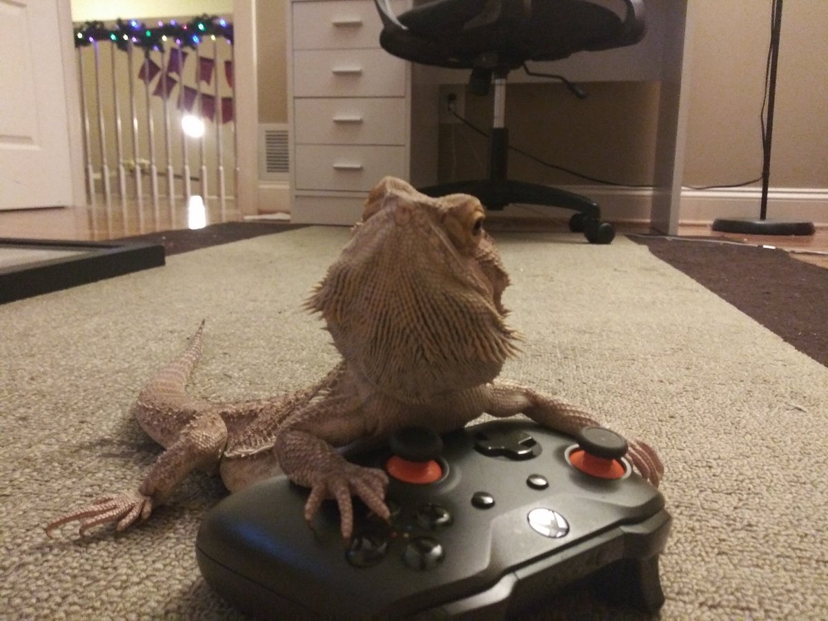 GamingJackie's tweet photo. @j7medeiros https://t.co/OPe1wxFvR6