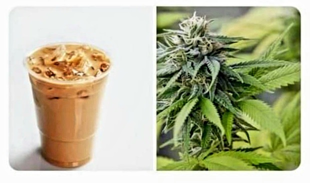 Don't tell me how to live my meme tweet media