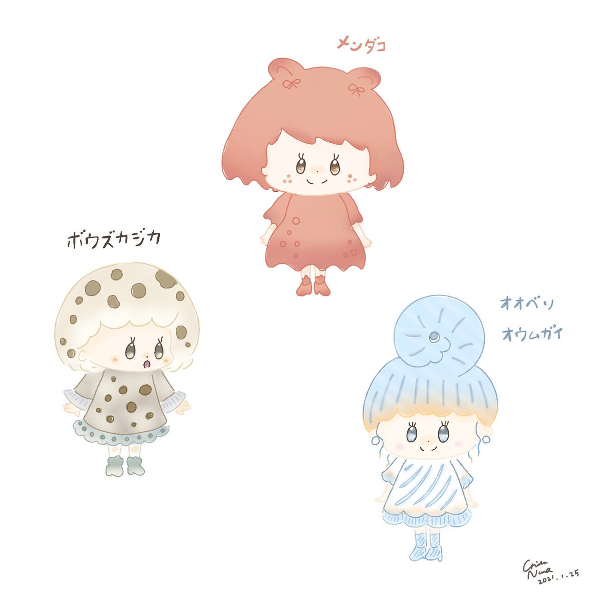 オオベソオウムガイ オオベソオウムガイ