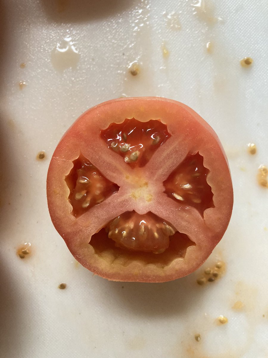 wait til blue haired people find out about tomatoes 🥶