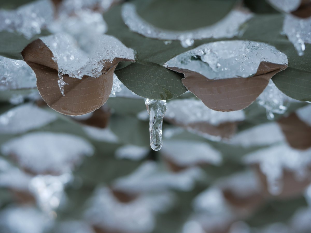 5arrowsprod's tweet photo. #snowday #macrophotography #lumix #g85 Amazing weather this weekend! https://t.co/qFzsKpDPES