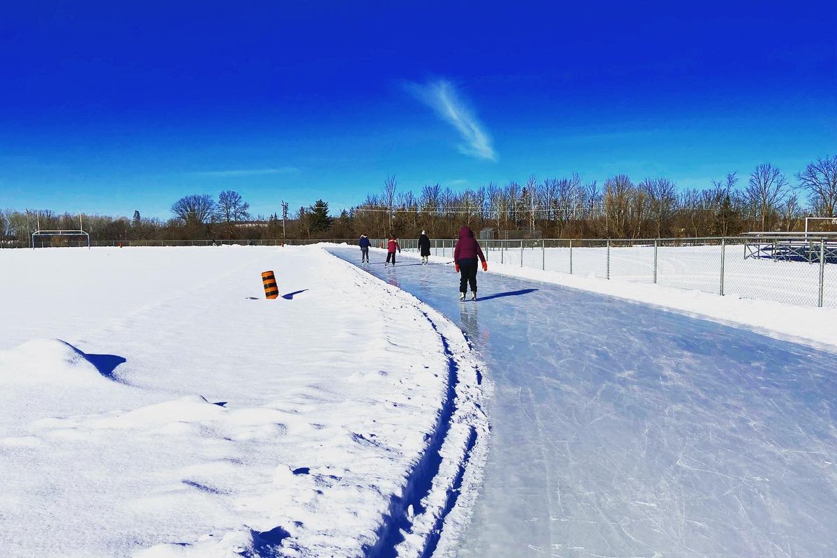 Sarah Freemark she/her tweet media