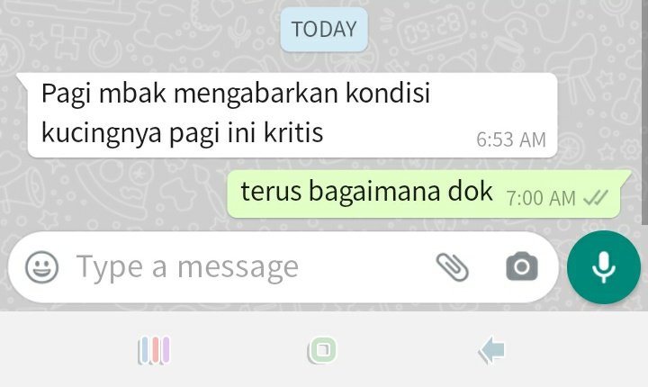 cutewonjin322's tweet photo. twitter pls do your magic, minta doanya ya tmn2 semoga lekas sembuh😭🙏🏻🙏🏻 kemaren udah mati satu, minggu lalu induknya. aku takut bgt😭😭😫 https://t.co/WN8rQ9yTnr