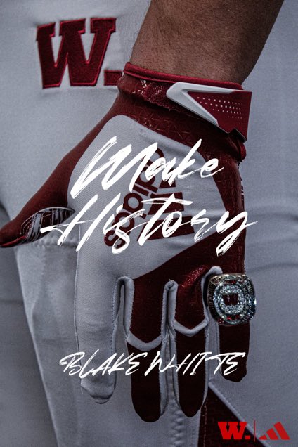 BlakeWhiteQB1's tweet photo. I am beyond blessed to say I am 100% committed to Wabash. I want to thank everyone who helped me along the way and to all the Coaches who recruited me. #WAF @CoachWatsonWAF @IndianaPreps @cliffWISH8 @DavidWoods007 @LJohnson26qbnwr @IndyWeOutHere https://t.co/68MwrIhNRO