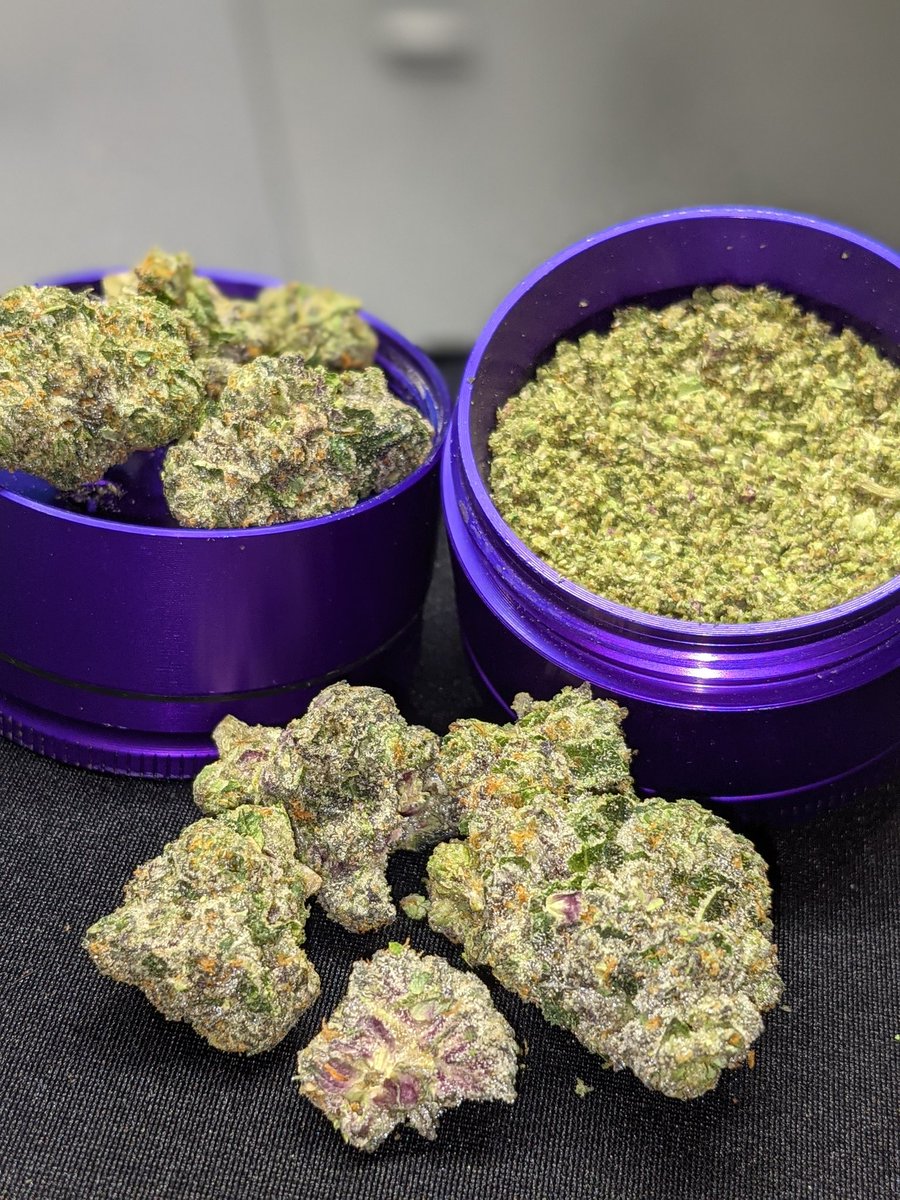 719seshcrew's tweet photo. #whatareyousmoking today, Sesh Crew?! Just got me some Gelato Sherbert #purpleismyfavoritecolor #719seshcrew #SeshOn #gelatosherbertindica #stickyicky #densenugs #trichomes #sparklyweed #CannabisCommunity #StonerFam #MMJ #VeteransForCannabis #indica #herbalhealing #fillmore ⛽🔥 https://t.co/6HbmBUKpYq