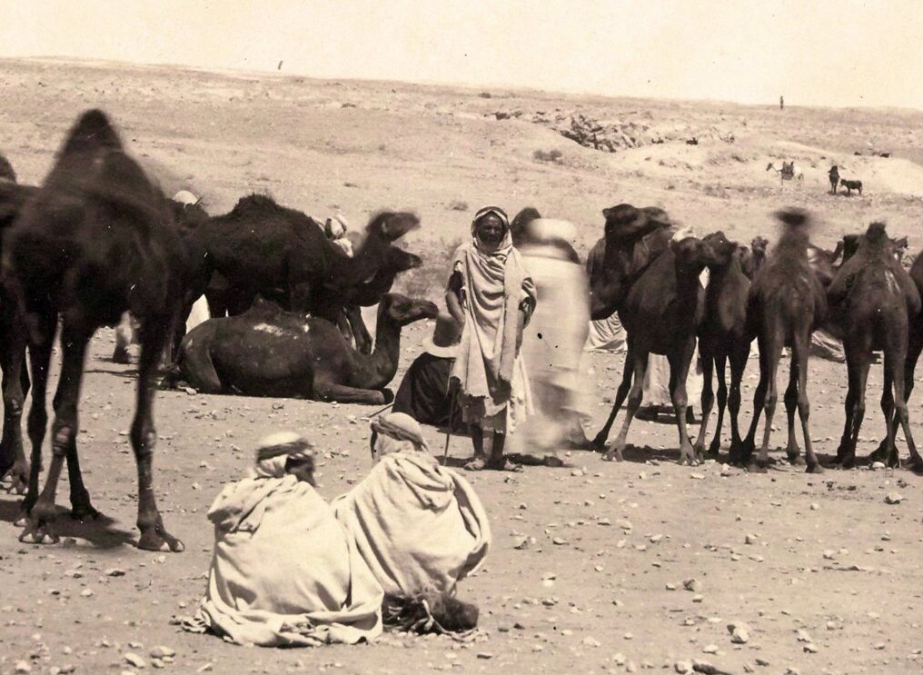 Qahwadji Qassim ض 🇩🇿👆👆👆🇩🇿 tweet media