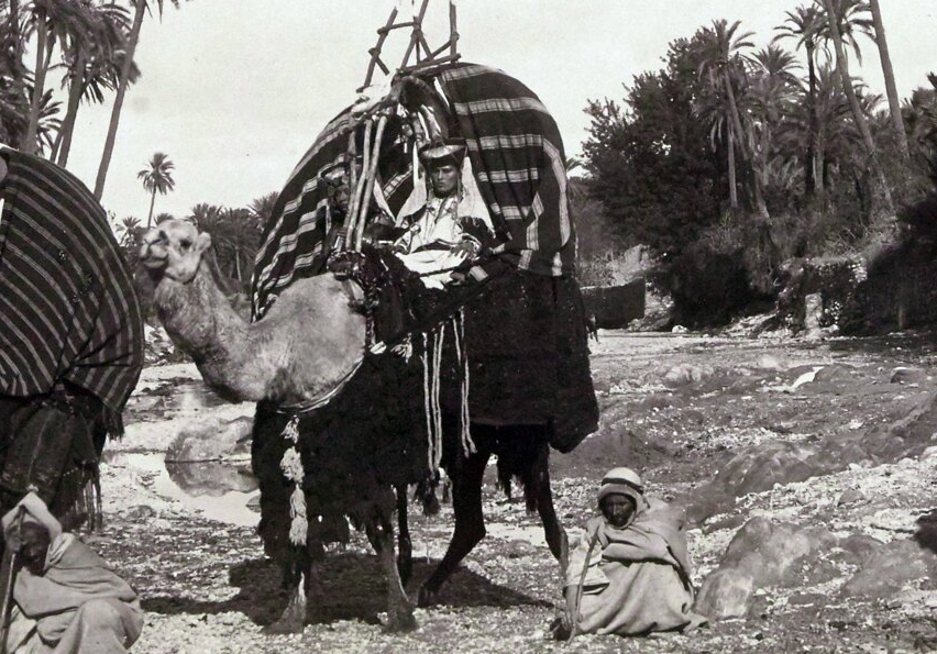 Qahwadji Qassim ض 🇩🇿👆👆👆🇩🇿 tweet media