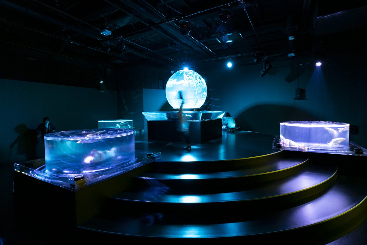 HARMAN_Pro's tweet photo. Wanting to elevate its striking visuals with powerful acoustics, Art Aquarium enhanced its exhibit with a cutting-edge HARMAN Professional audio solution that delivers excellent sound and an immersive guest experience.

Read more: https://t.co/pDX4Y4CSx0 

#HARMANExperienceAPAC https://t.co/dvVN7zDHb0