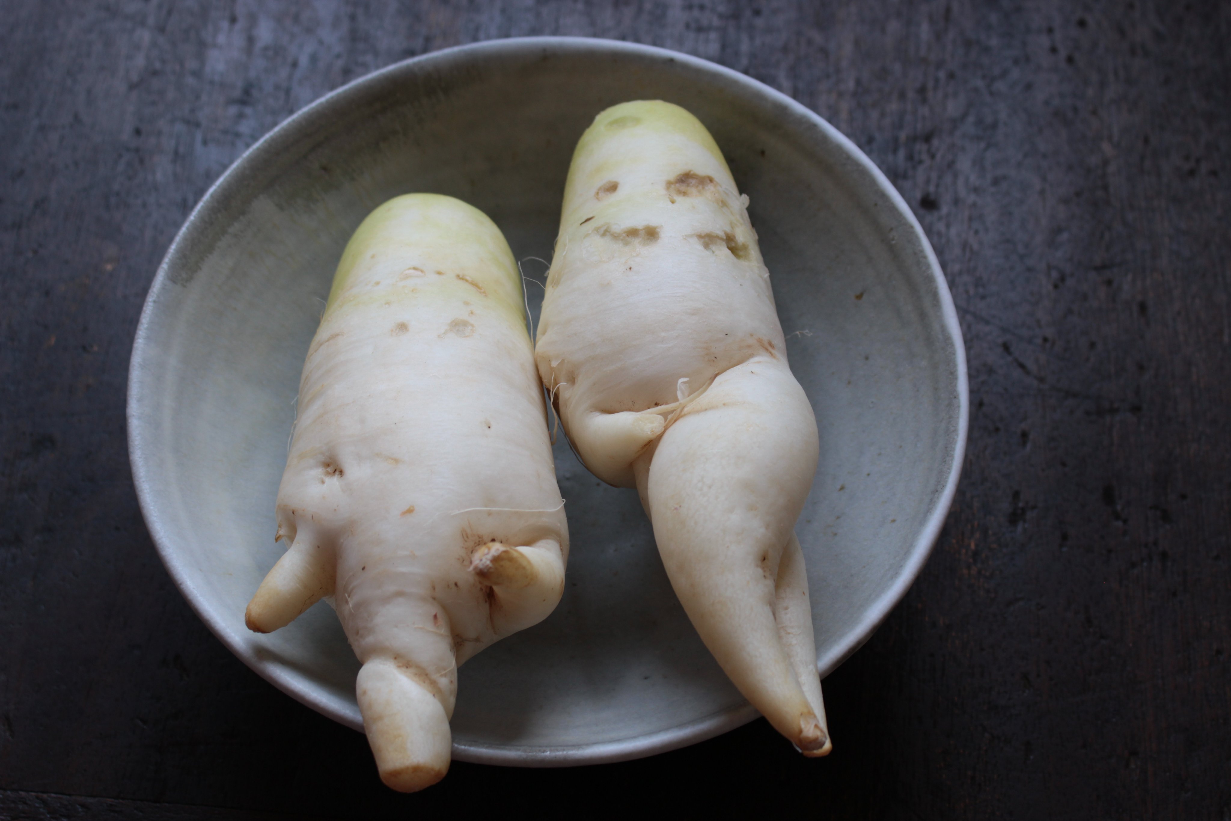 褻mono けもの 野菜売り場の隅にいた 愛らしいかたちの大根 虫食いのような凸凹がありますが それ以上の見た目の魅力 セクシーポーズにも見えます 半分は大根サラダに 残りは何にしようかな 写真のうつわは私物ですが ショップでも販売してい