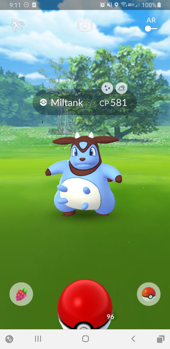 Shiny miltank pokemon go screenshot 296252 - Mbaheblogjpaqhv