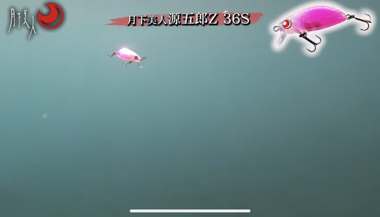 Jake Ikabukuro なんやこれ 源五郎選手 泳ぎ方が可愛すぎるわ 月下美人 源五郎z 源五郎リップレス 水中映像 アクションの付け方 りんたこ岩崎林太郎がメバリングプラグを解説 T Co Vfhmiipdb7 Youtubeより T Co Yj3fpdld0k