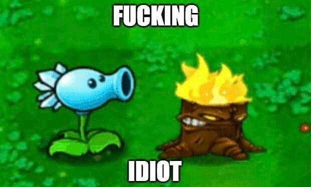 Random Ass Images tweet media