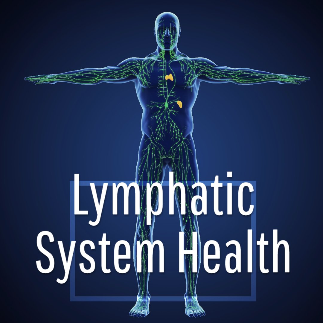 ymassagematters's tweet photo. Massage is a great way to stimulate your lymphatic system. A massage will increase your lymph flow which can decrease the effects of delayed onset muscle soreness and swelling. It’s also great for muscle fatigue and is a great pain fighter. 
#ymassagematters #lymphatichealth https://t.co/NgwKMnt9ll