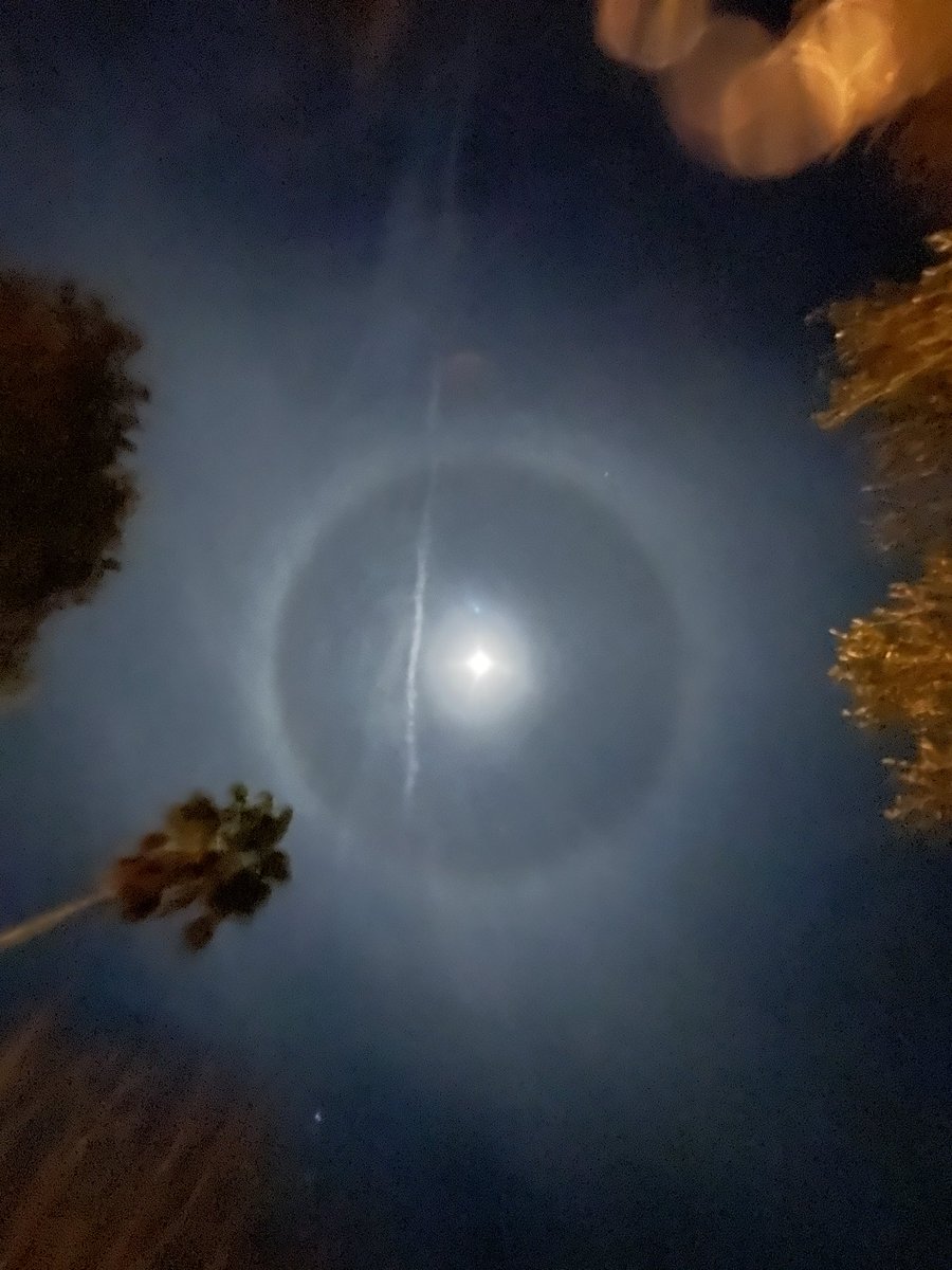 Neurobiology of Parkinson’s disease tweet media