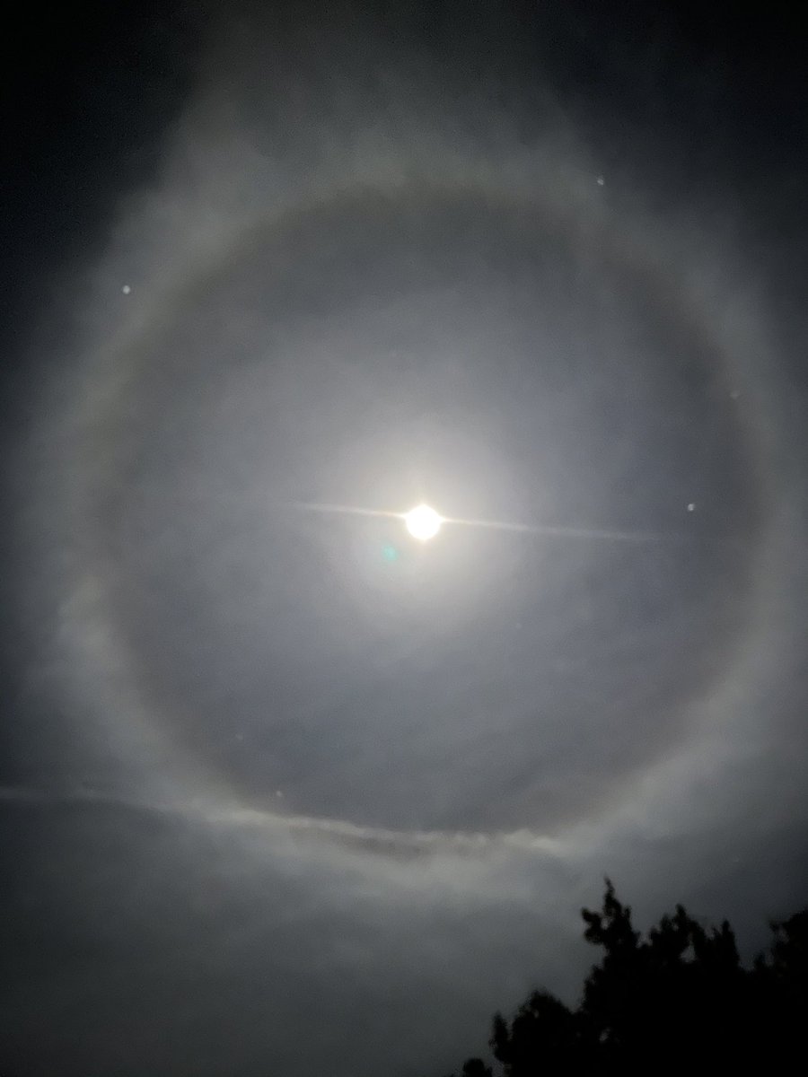 Neurobiology of Parkinson’s disease tweet media