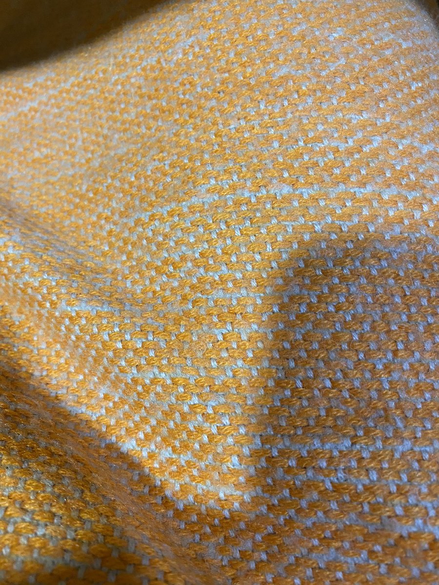 Ana Rebollo Blasco tweet media