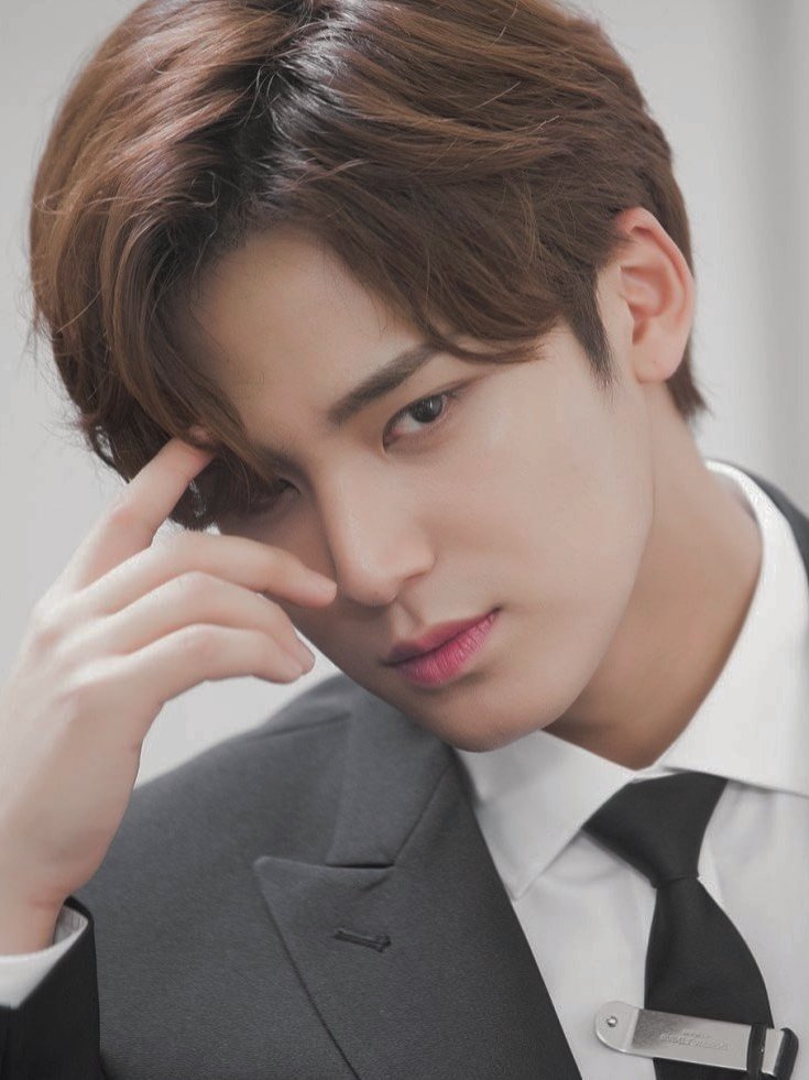 mingyu edits tweet media