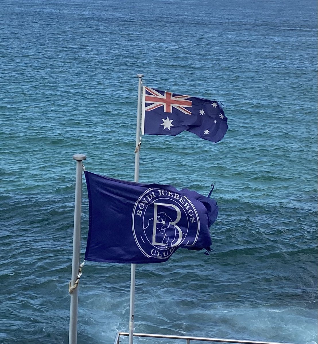 Bondi Icebergs (@bondiicebergs) on Twitter photo 2021-01-26 06:34:01