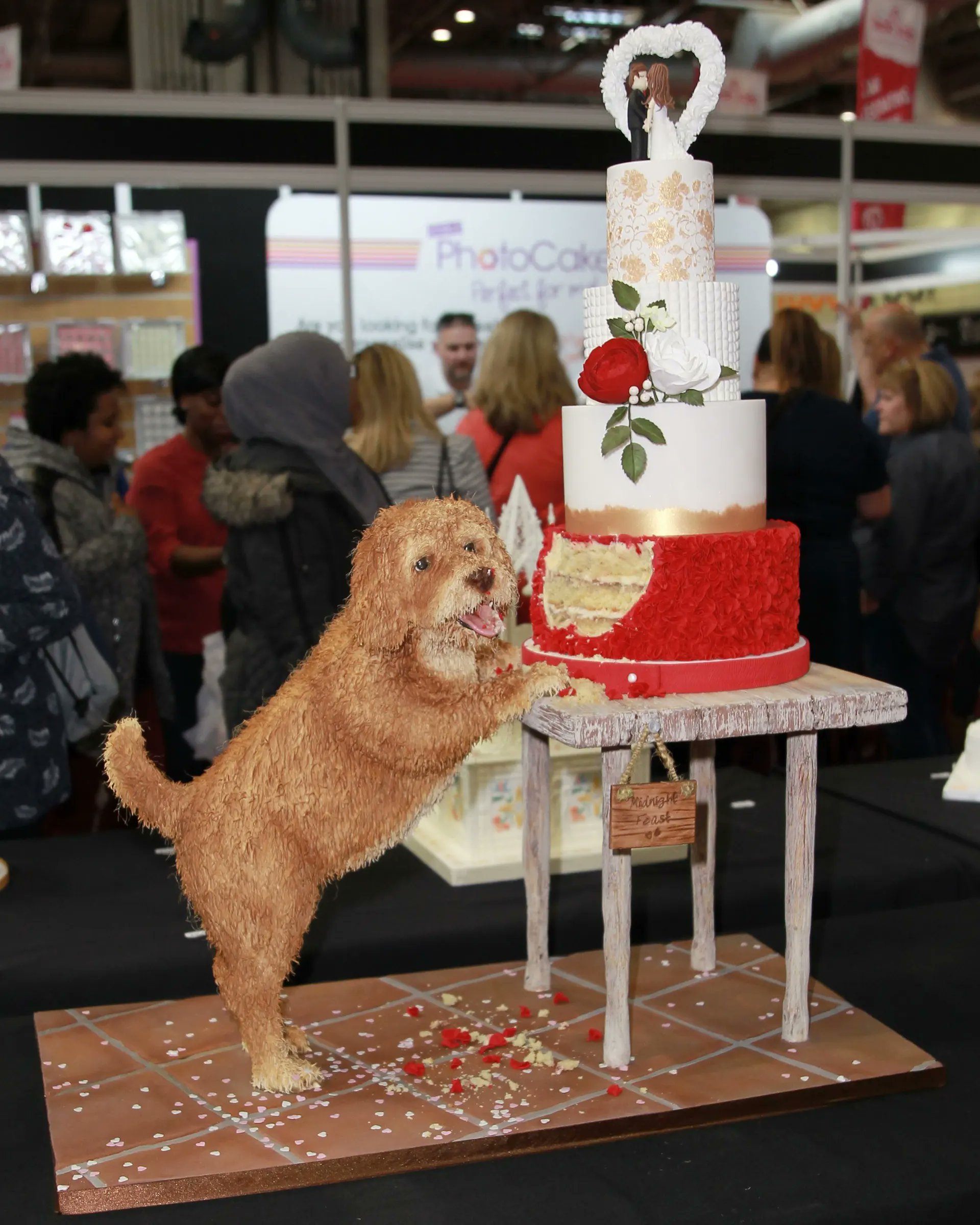 Cakes by carol dog cake hotsell