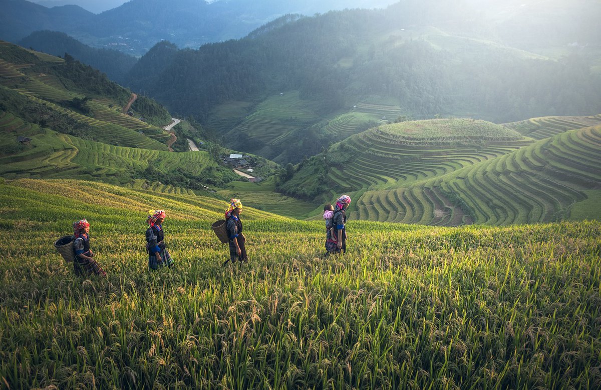 viajestejedor's tweet photo. Bali, Indonesia un precioso lugar de este planeta por conocer. Sus gentes, templos y maravillosos paisajes nunca dejan indiferente a un auténtico viajero #bali #indonesia #viajar #viajes #nosotrostellevamos #ofertasdeviajes https://t.co/tuaeHdyLW5