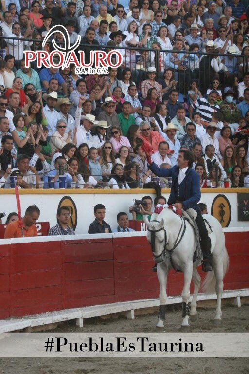 #PueblaEsTaurina #LosTaurinosTambienVotan

<a href="/TauromaquiaTMX/">Tauromaquia Mexicana</a>