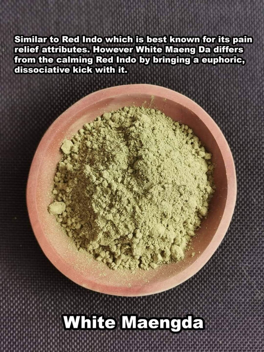 Mayabestkratom's tweet photo. @KratomBotava Best maengda kratom powder from borneo https://t.co/Hi4BOStkzc