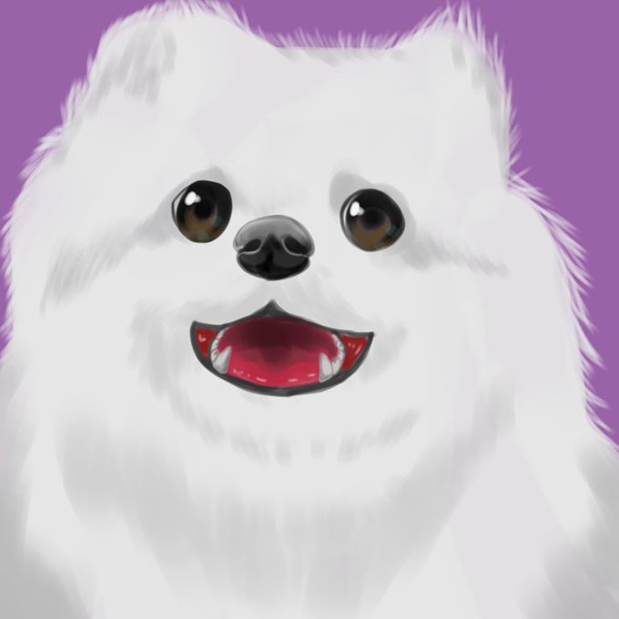 白いポメラニアンのtwitterイラスト検索結果 白いポメラニアンのtwitterイラスト検索結果