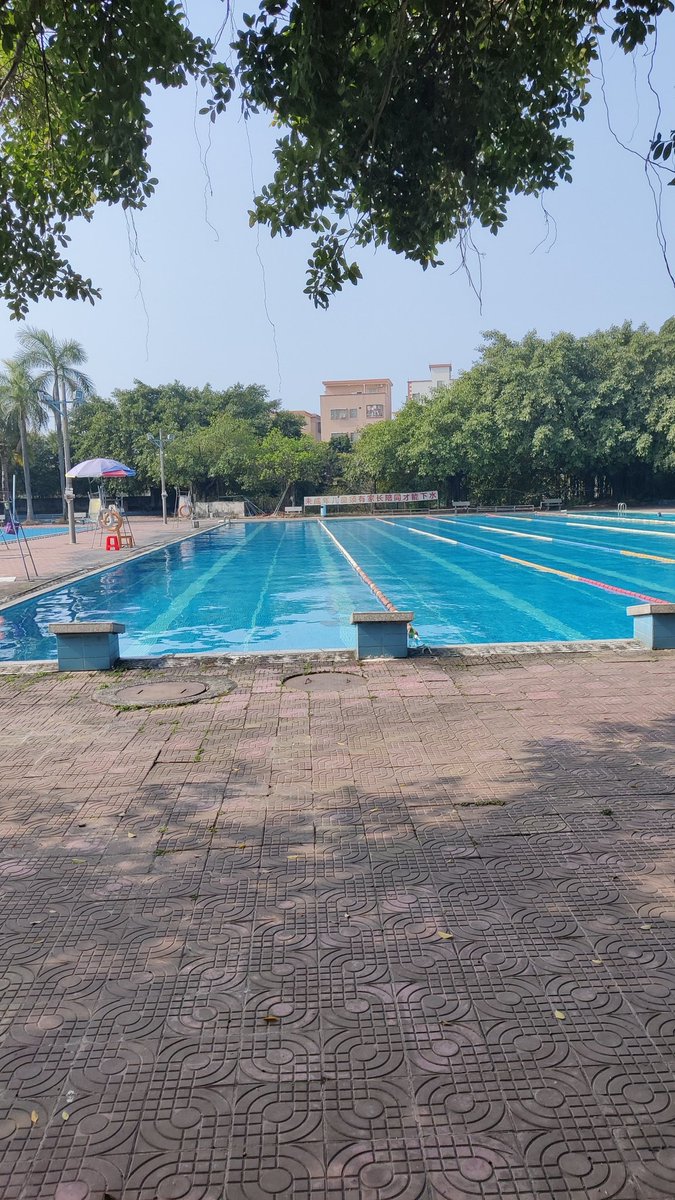 游个泳，广东天气不错。