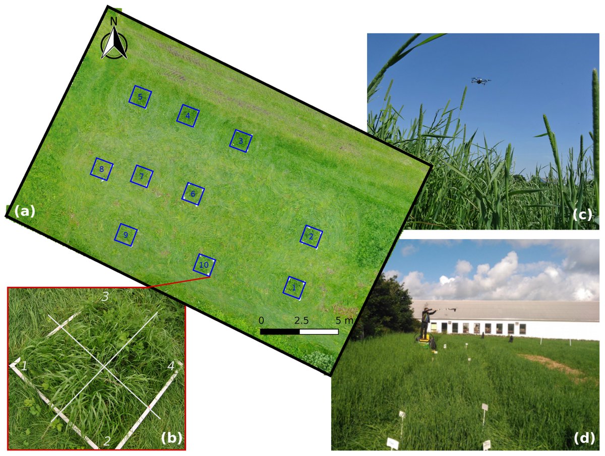 Sensors_MDPI's tweet photo. 📢Editor's Choice
Comparing #UAV-Based Technologies and RGB-D Reconstruction Methods for Plant Height and
#BiomassMonitoring on Grass Ley
👉https://t.co/uPkCmgwbEa
#3Dcropmodeling
#remotesensing
#depthimages
#parameteracquisition https://t.co/PgiKxdNsr9