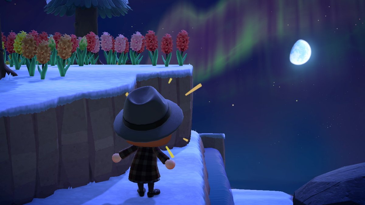 LWondr's tweet photo. #AnimalCrossing #ACNH #NintendoSwitch https://t.co/HTN5Hb1oUD