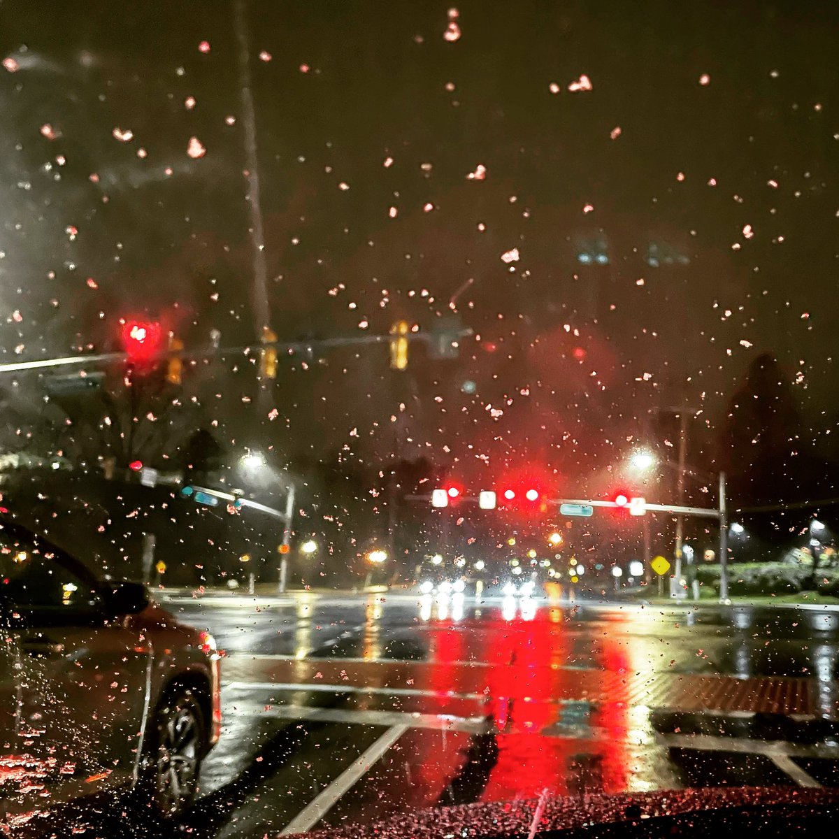 isabelmanalo's tweet photo. Slush but no snow. ☃️ #waitingforsnow https://t.co/VhSyznxfMg