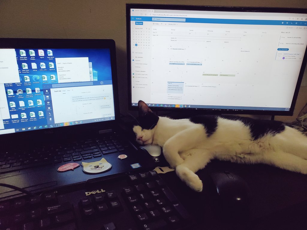 엄마 일하지말고 나랑 놀아냐아아앙 😪