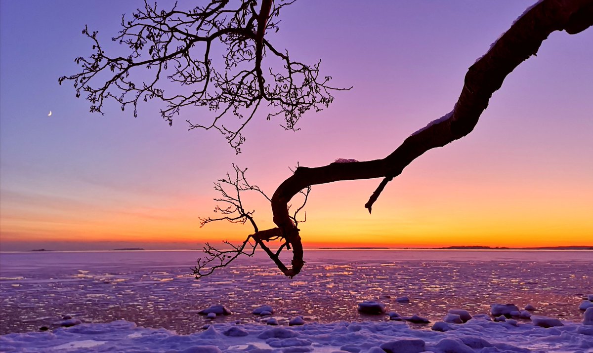 Cold As Ice #Helsinki #Finland #photography #StormHour #travel #Photograph #weather #nature #sunset #photo #landscape #Winter #TuesdayMotivation #Foreigner https://t.co/pRZm8DZRxw